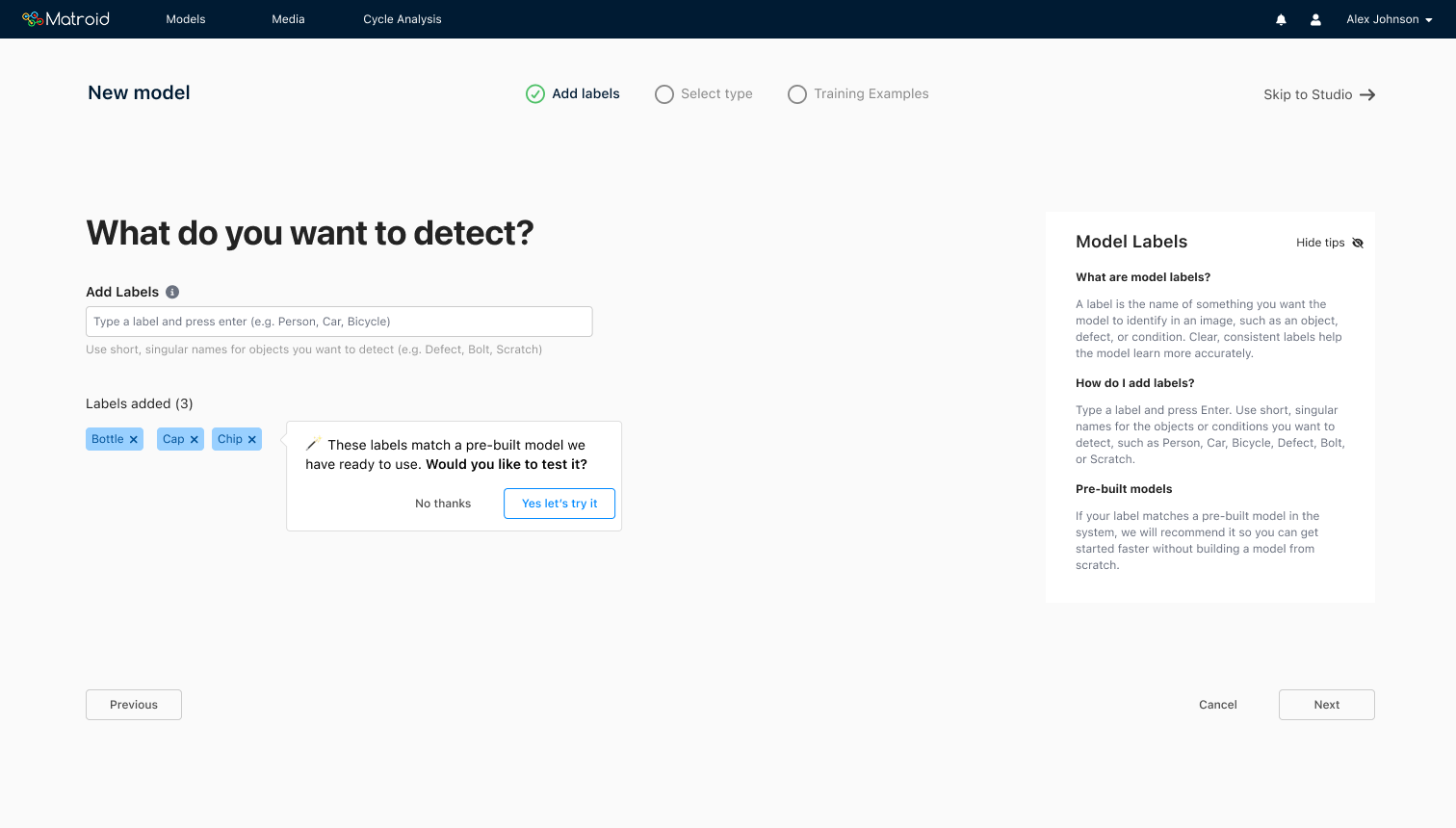 Multi-step guided wizard for model setup